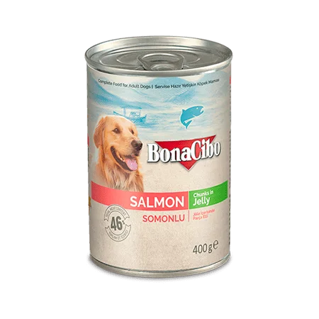 pet hair remover roller reusable-Bonacibo Canned Dog Food Salmon 400g