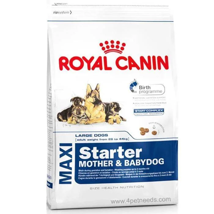 dog car ramp for senior dogs-Royal Canin Maxi Starter