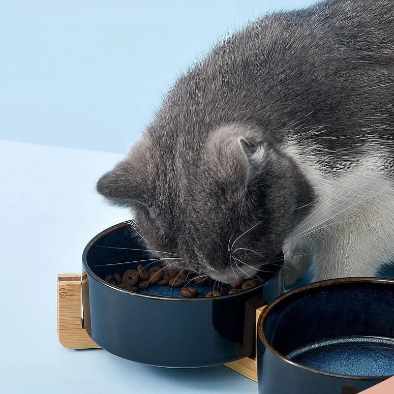 chew toys for aggressive chewers-Double Cat Bowl