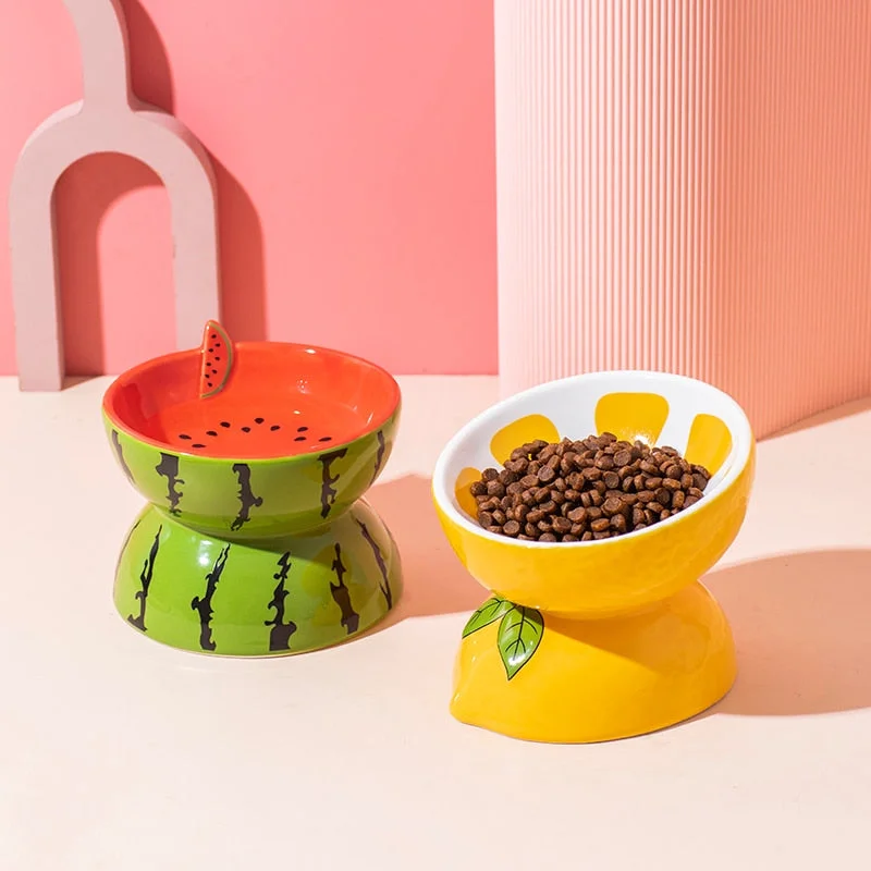 pet carrier airline approved-Fruit Ceramic Cat Bowl