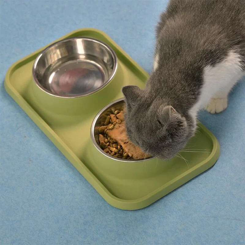 slow feeder bowl for dogs-Ant Proof Cat Bowl