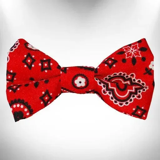 slow feeder bowl for dogs-Bandana Dog Bow Tie