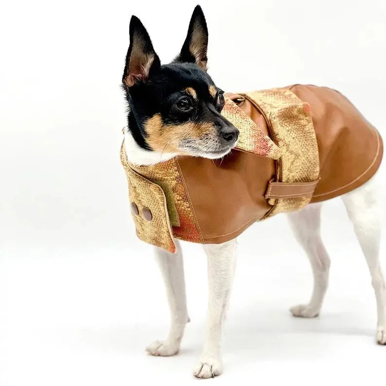 dog agility training equipment-DCNY Vegan Faux Leather Southwest Coat