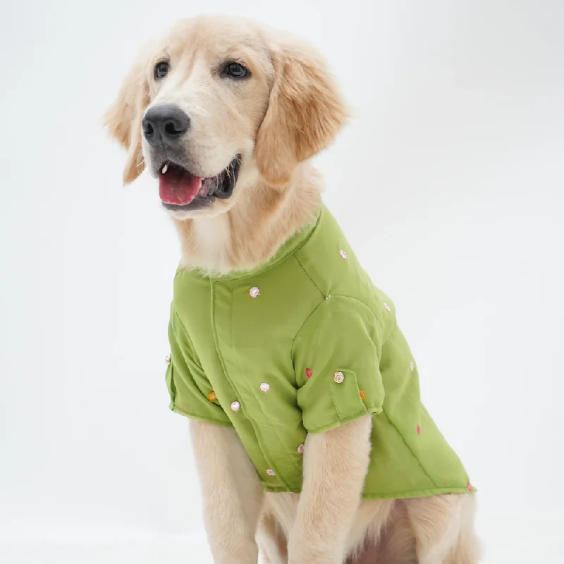 calming dog bed for anxiety-Pawgypets Festive Shirt for Dogs (Pista Green)