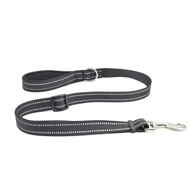 black leash