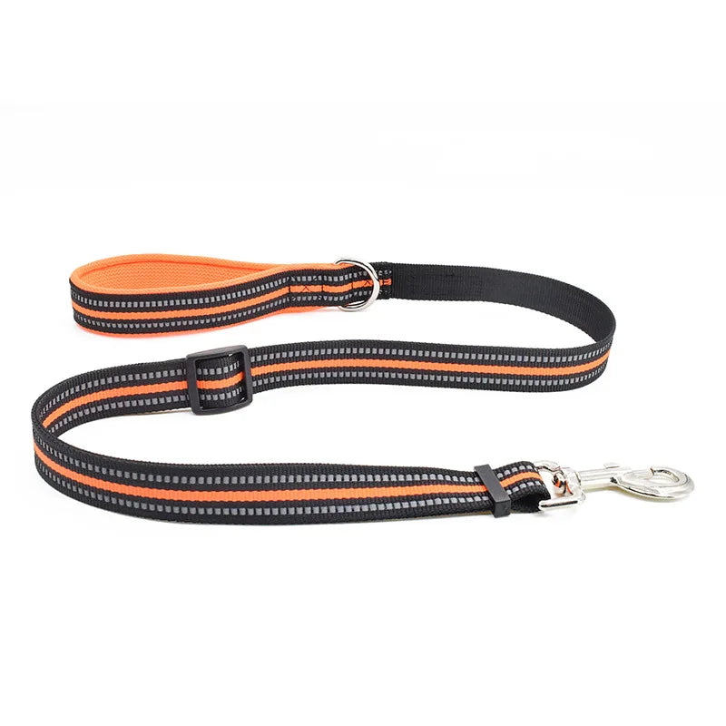 orange leash