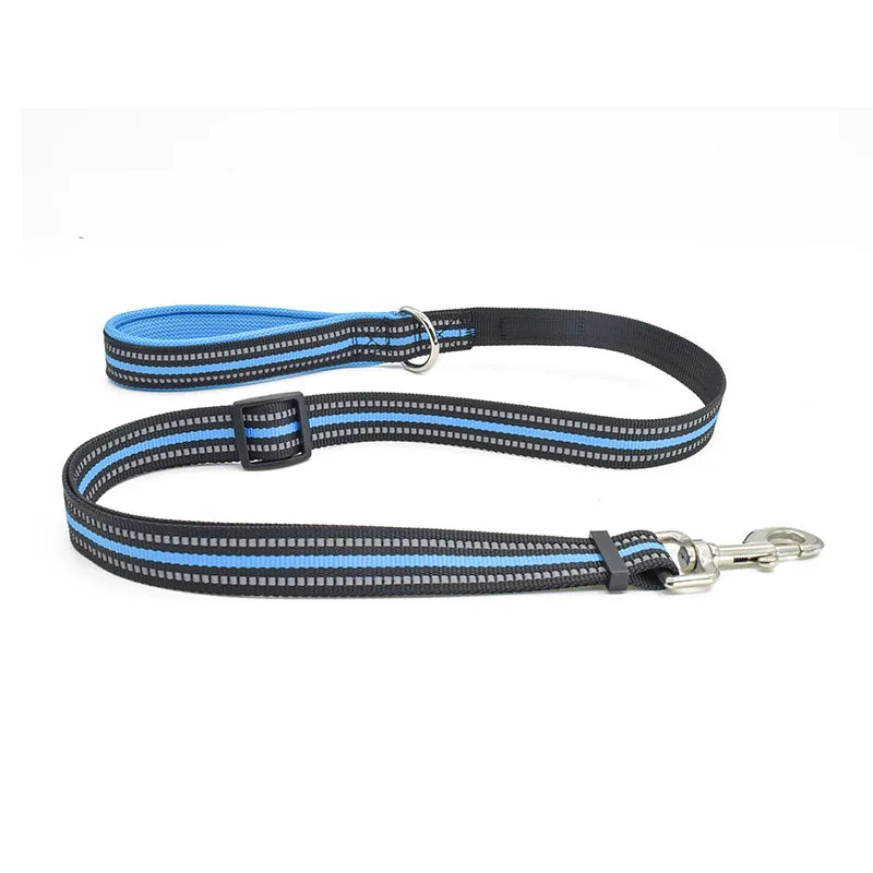 blue leash