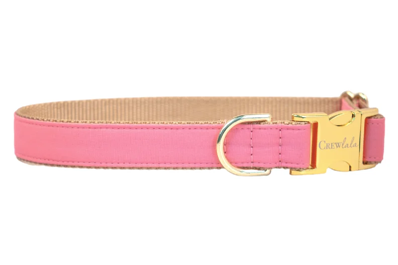 best dog food for small breeds-Bubblegum Pink Dog Collar