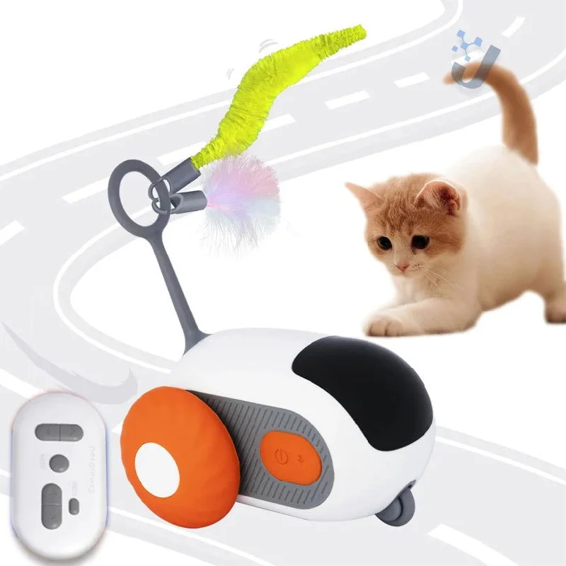 pet seat belt for car safety-Interactive Cat Toy with Remote Mouse Car