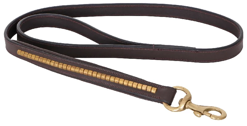 pet odor eliminator spray-CAVALLINO BRASS CLINCHER LEATHER DOG LEAD