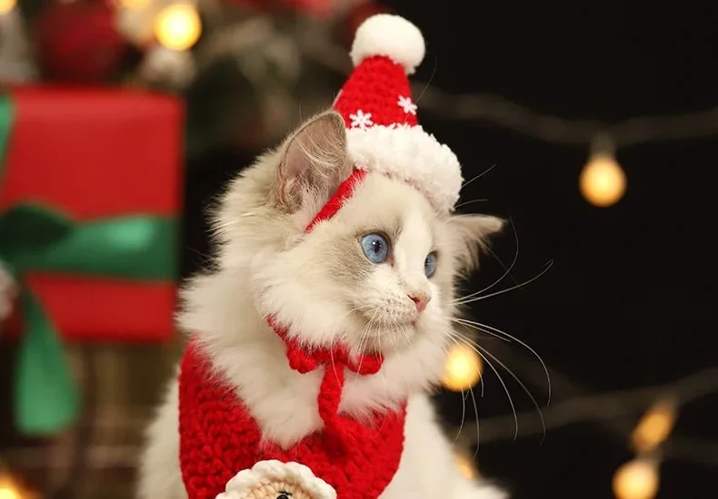 cat toy with motion sensor-Christmas Pet Scarf & Hat – Adorable Red Scarf for Kittens & Puppies, Perfect Holiday Gift & Festive Accessory