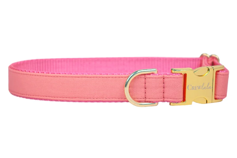 interactive dog toys for large dogs-Coral Dog Collar