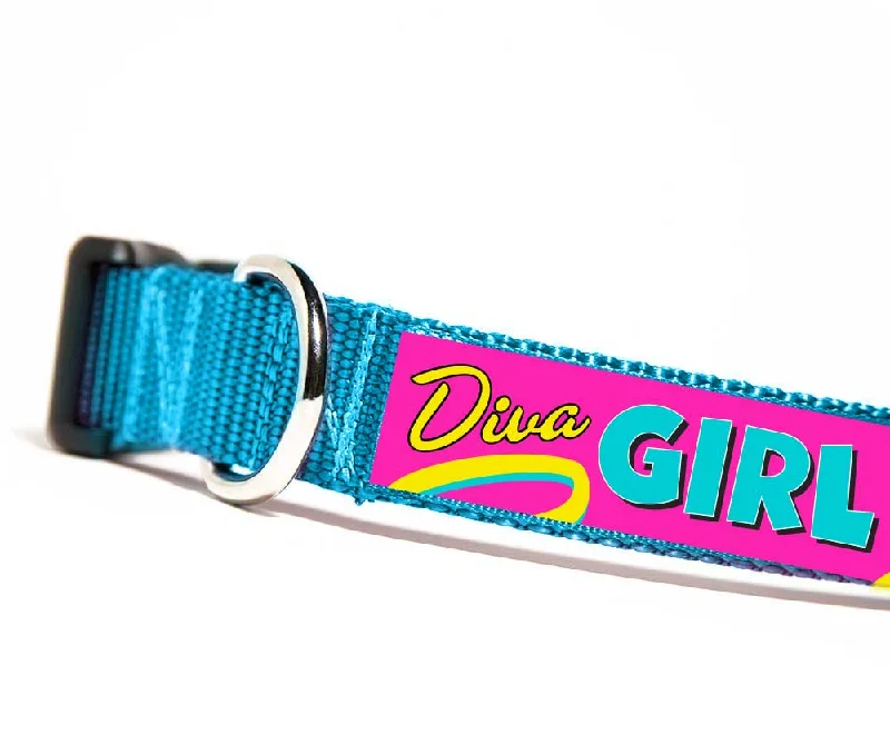 pet first aid kit for emergencies-Diva Girl Dog Collar