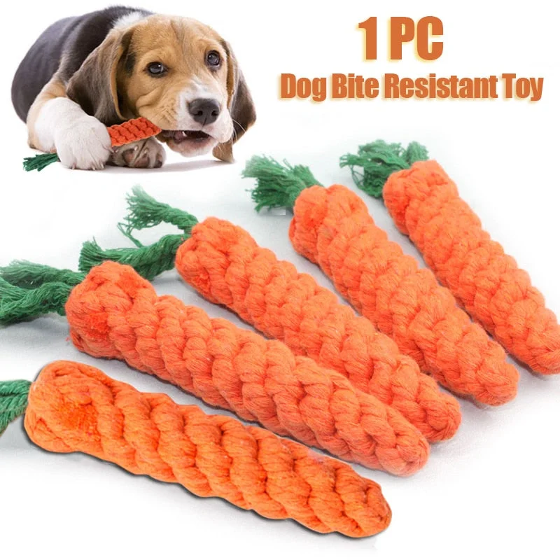 dog car ramp for senior dogs-Durable Dog Chew Toy: Cartoon Animal Design