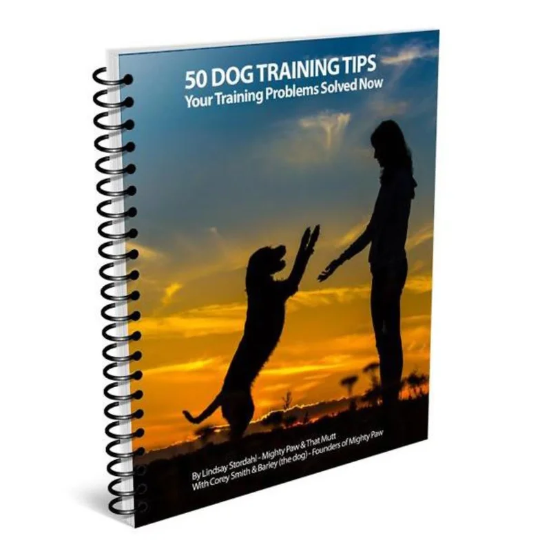 cat food dispenser automatic-Ultimate Dog Training Guide: 50 Proven Tips for Success