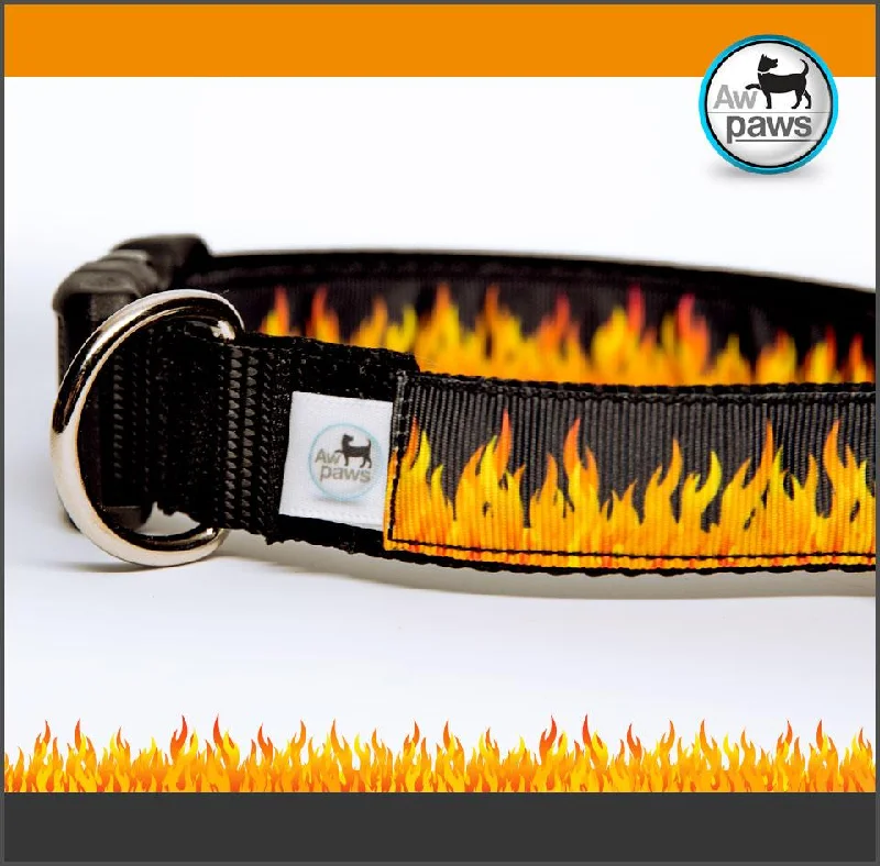 puppy playpen indoor foldable-Fire Dog Collar