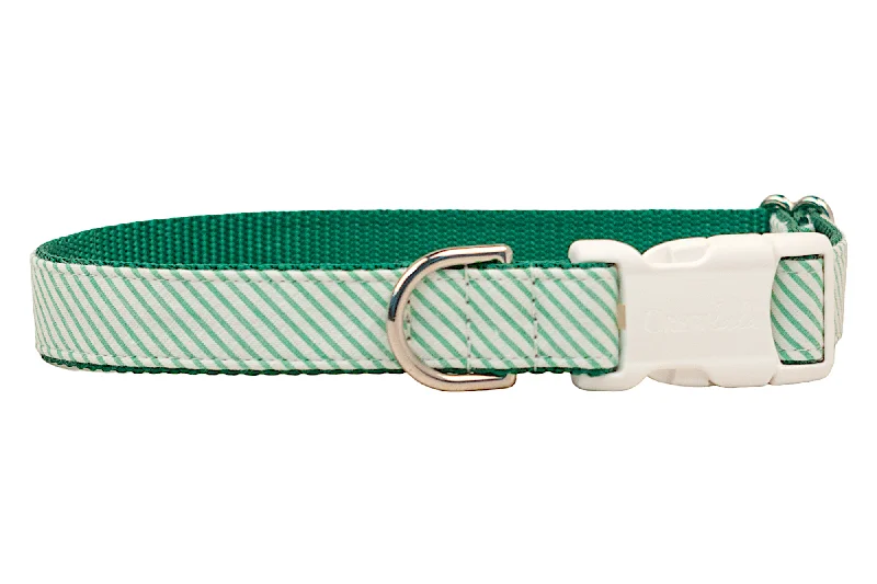 rabbit hutch outdoor waterproof-Full Court Green Seersucker Dog Collar