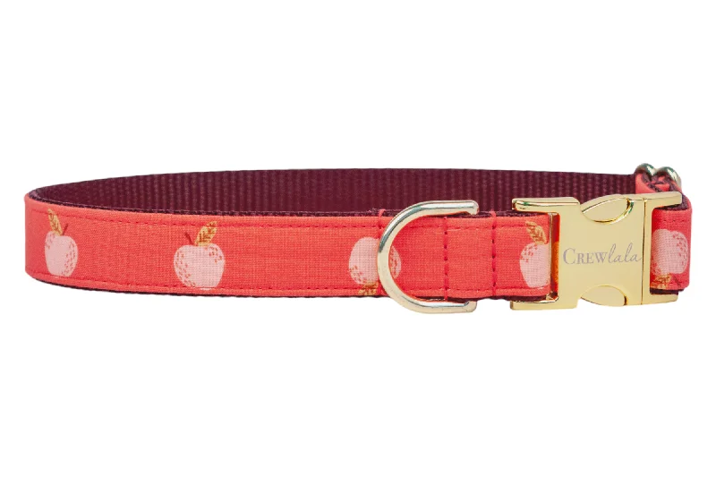 outdoor dog kennel heavy-duty-Gala Apples Dog Collar