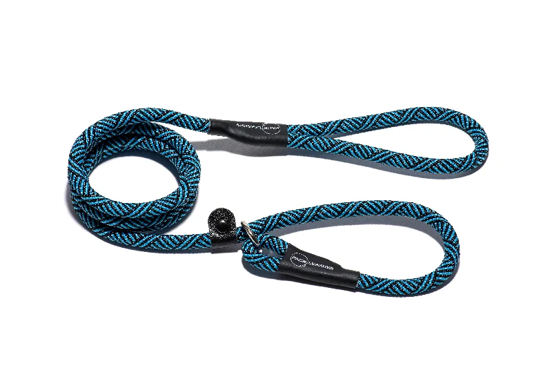 dog agility training equipment-Glacier Blue - Slip Lead - Free Product