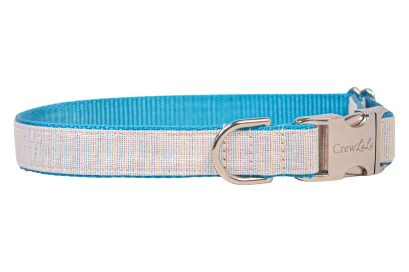 pet odor eliminator spray-Gotcha Glitter Dog Collar on Blue