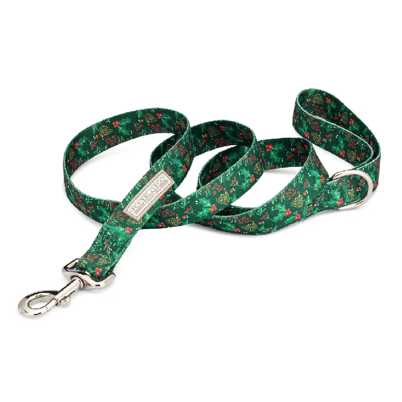 large dog house insulated outdoor-Holly Leash Wholesale