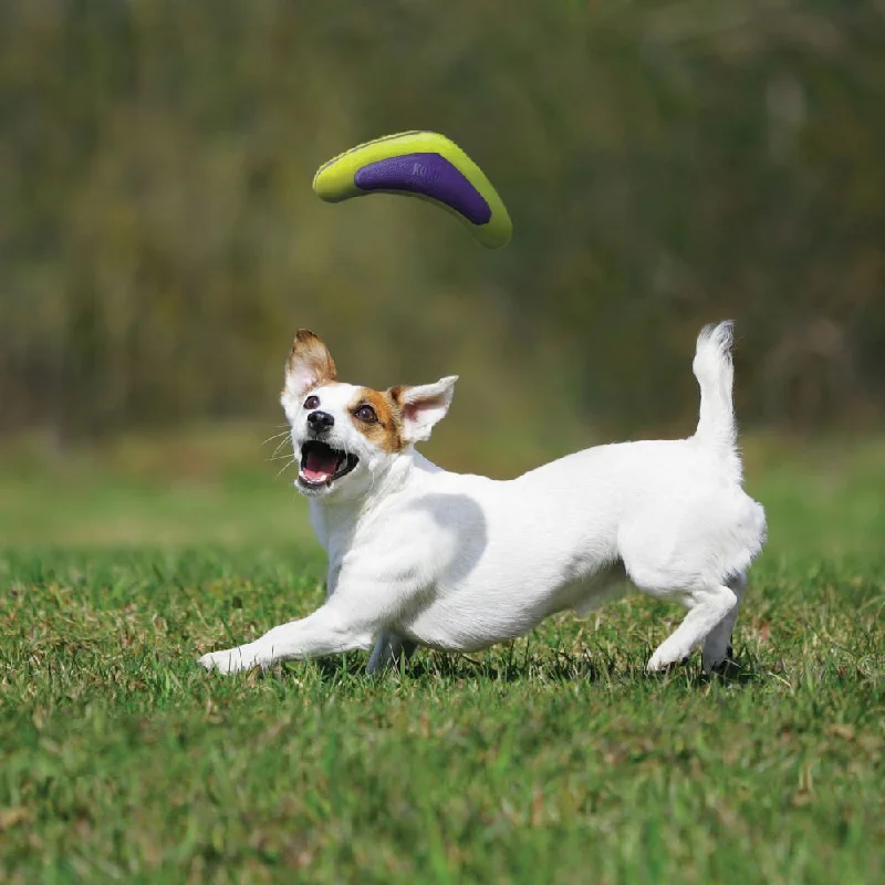 indestructible dog toys for large breeds-KONG Airdog® Squeaker Boomerang