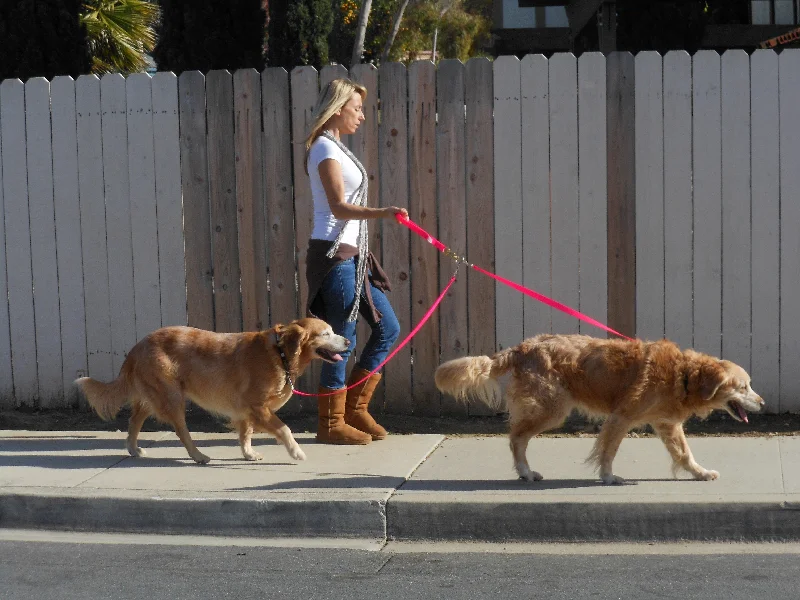 retractable dog leash heavy duty-Leather Pet Walker Plus Leash