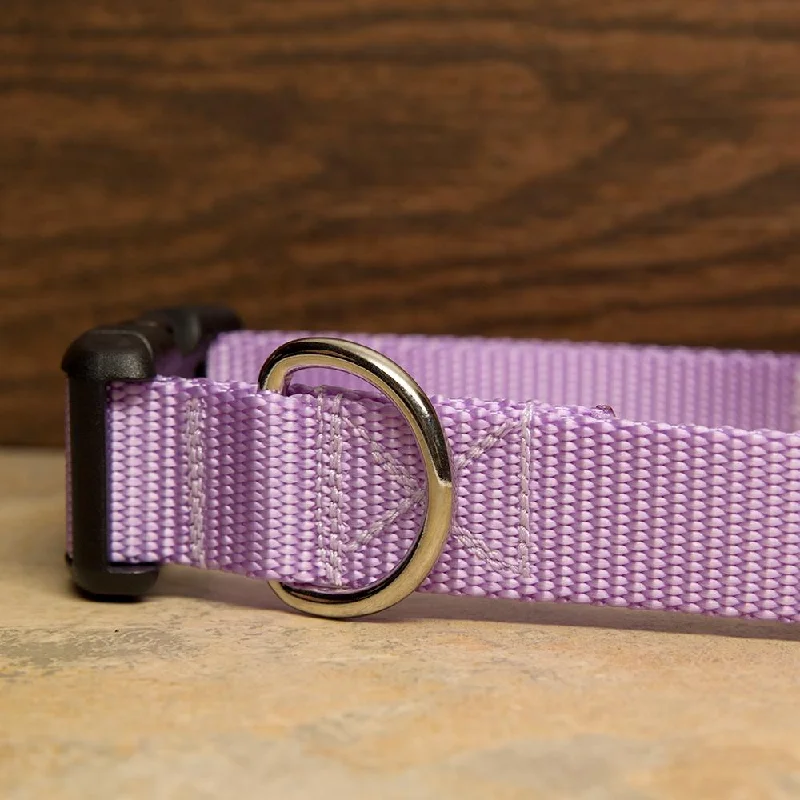 eco-friendly cat litter biodegradable-Light Purple Dog Collar