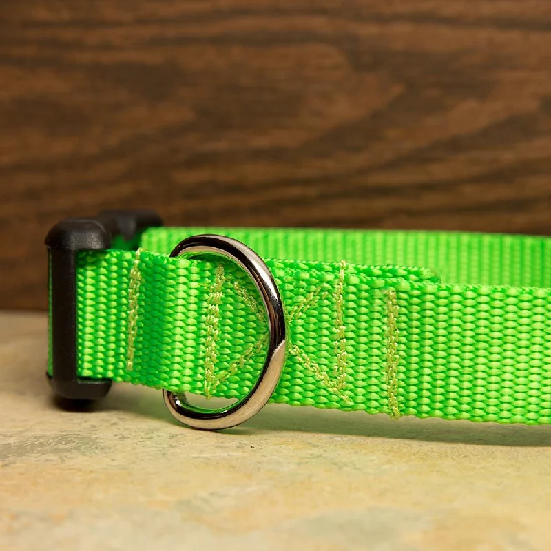 LED pet tag for night safety-Lime Green Dog Collar