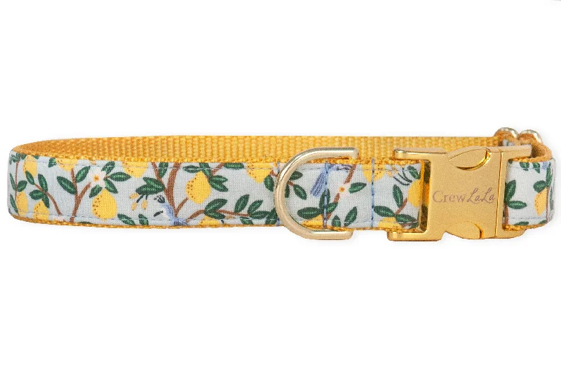 dog life jacket for swimming-Lovely Lemon Dog Collar - Two Styles