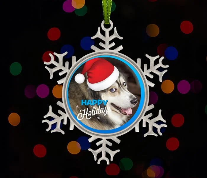 puppy playpen indoor foldable-Metal Snowflake Pet Photo Ornament