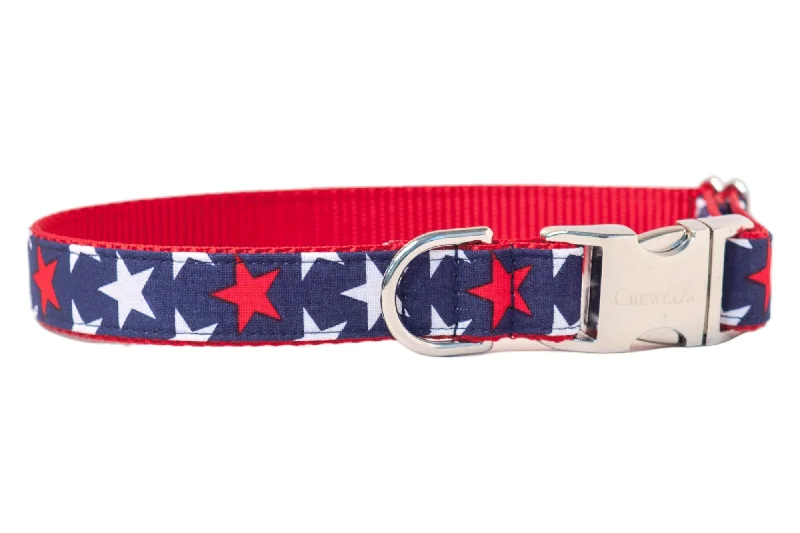 dog agility training equipment-Patriotic Stars Dog Collar