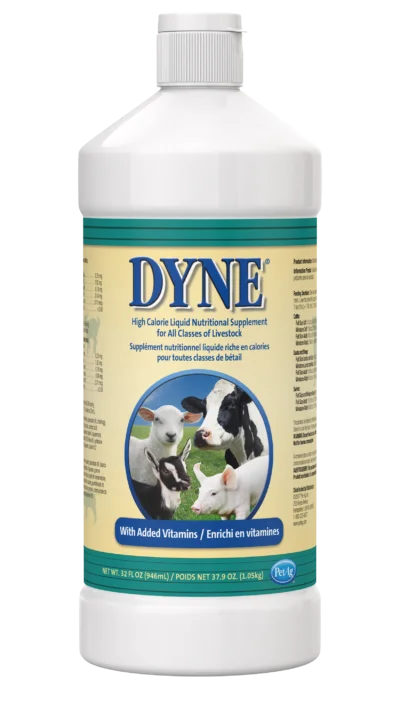 puppy playpen indoor foldable-PetAg Dyne® High Calorie Liquid Nutritional Supplement for Livestock