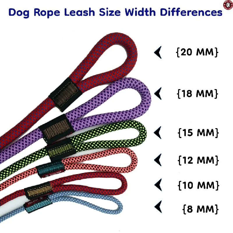 heavy-duty dog crate for large dogs-Petslike Rope Leash for Dogs