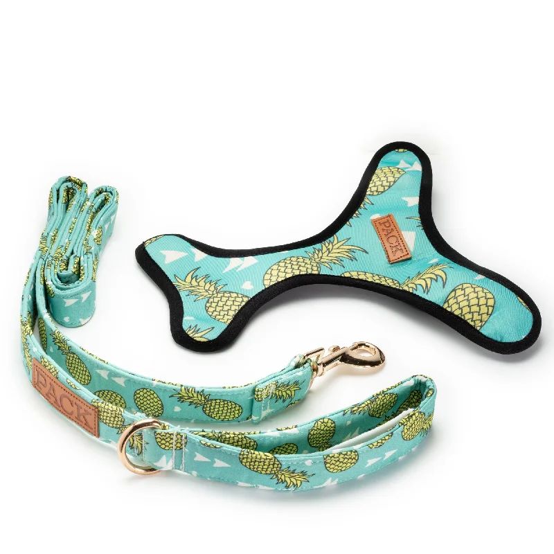 pet safe insect repellent natural-Pineapple Leash + Reversible Harness