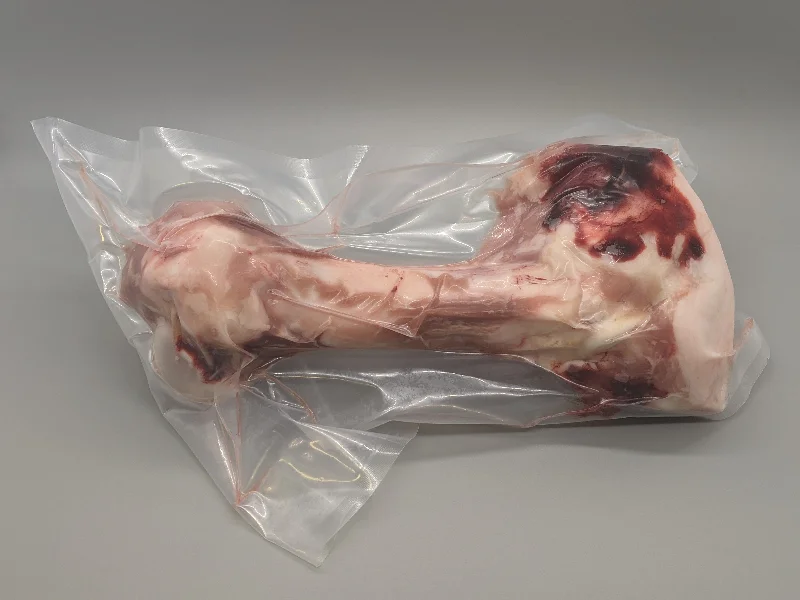 dog cooling pad for summer-Pork Femur Bone