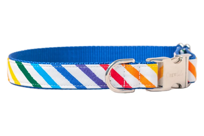 dog swimming pool foldable-Proud Rainbow Dog Collar - Two Styles!