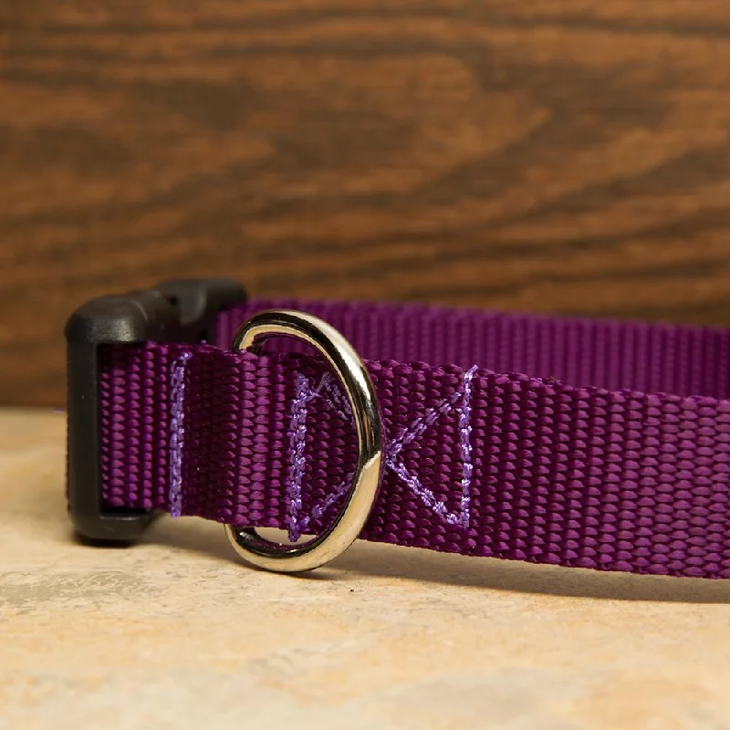 pet carrier airline approved-Purple Dog Collar