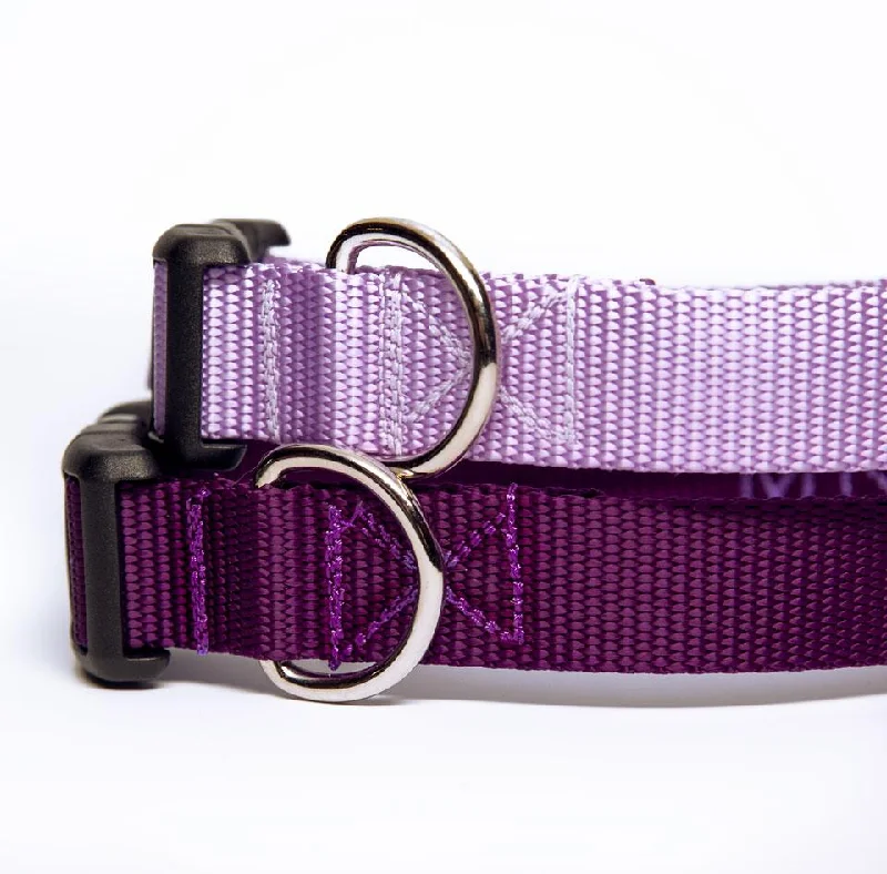 cat window perch hammock-Purple Dog Collar