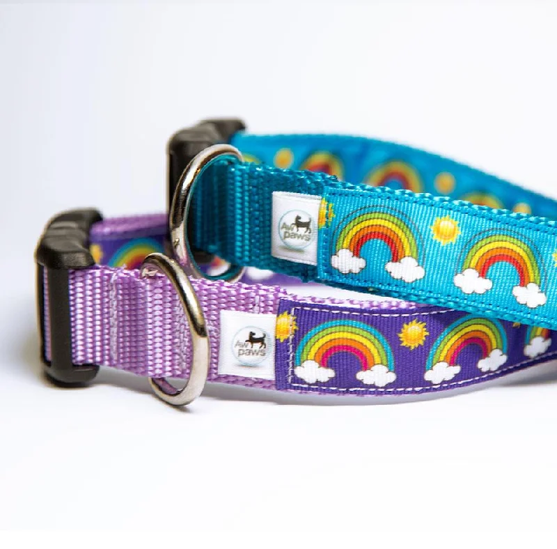 durable nylon chew toys for dogs-Rainbow Dog Collar