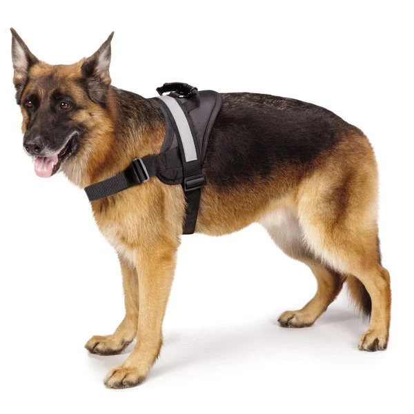 automatic ball launcher for dogs-Premium Quality Ruff & Tuff Dog Harness - Large