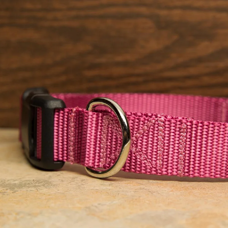 indestructible dog toys for large breeds-Rose Pink Dog Collar