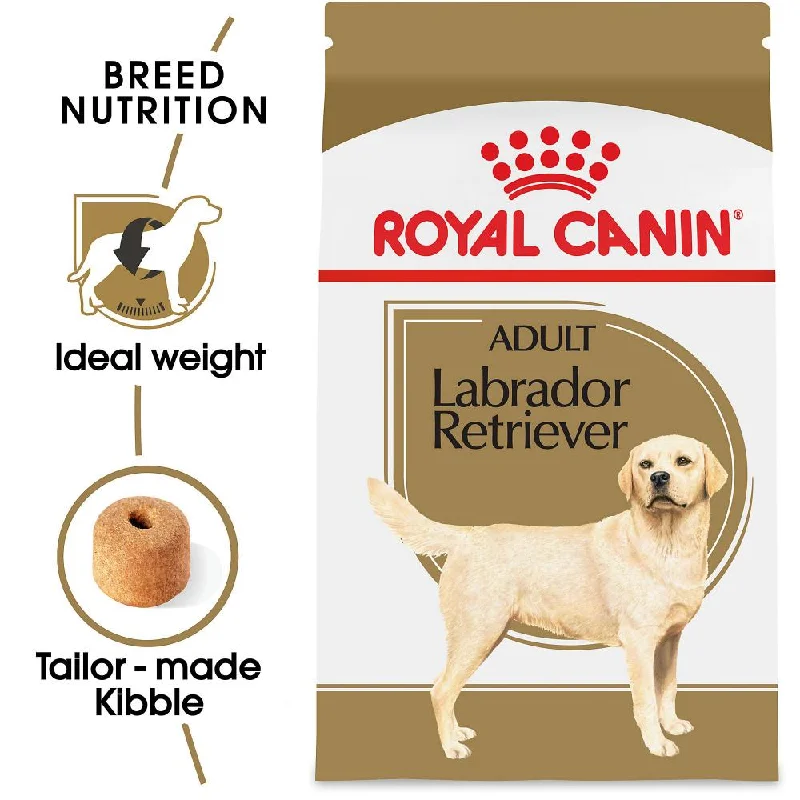 slow feeder bowl for dogs-Royal Canin Breed Health Nutrition Labrador Retriever Adult Dry Dog Food