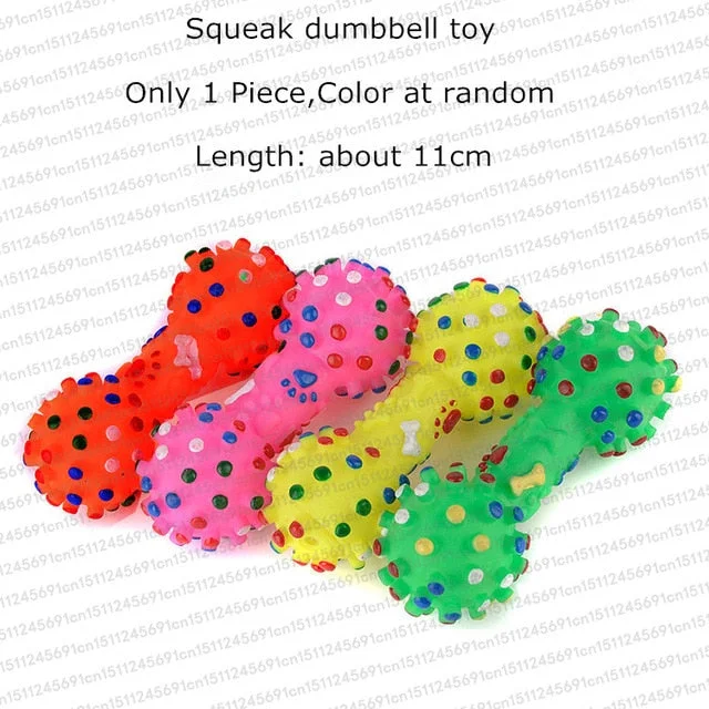 squeak dumbbell toy