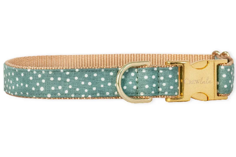 best dog food for small breeds-Sage Spots Dog Collar