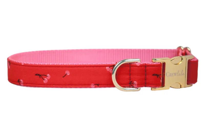 pet first aid kit for emergencies-So Cherry Dog Collar