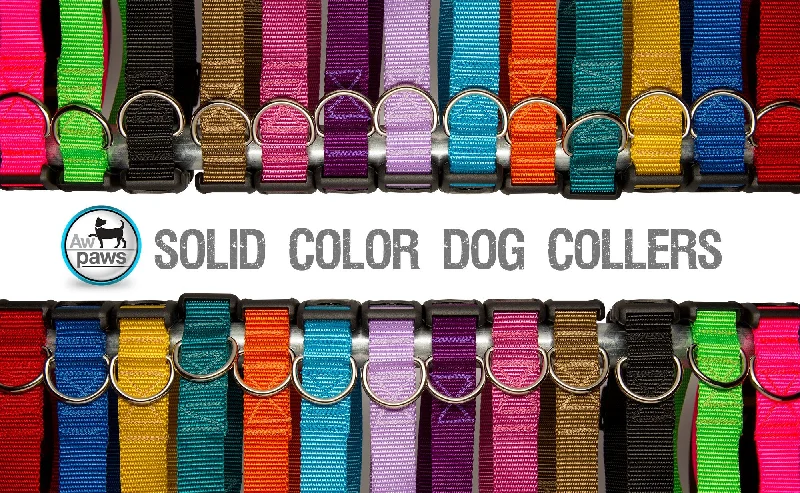 chew-proof rabbit water bottle-Solid Colored Dog Collars