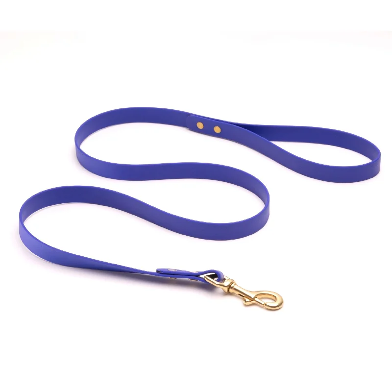 dog flea collar long-lasting-Standard Brass Leashes + Long Lines - Large Dogs (3/4" Width)