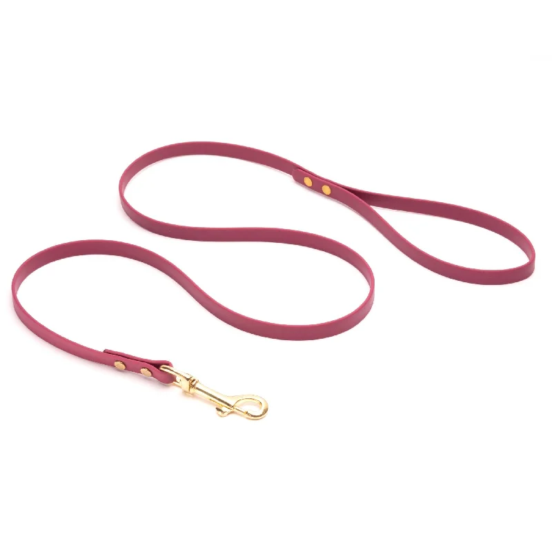 hamster cage accessories colorful-Standard Brass Leashes + Long Lines - Medium Dogs (1/2" Width)