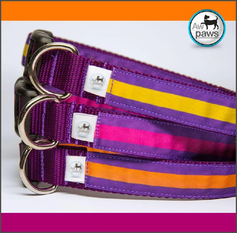 cat scratching post with hammock-Stripes Purples Dog Collar